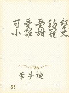 可爱受的双男主小说甜宠文