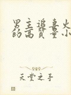 男主追妻火葬场的高质量小说