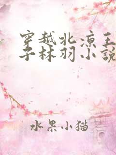 穿越北凉王傻儿子林羽小说免费阅读