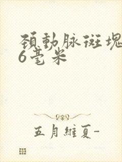 颈动脉斑块1.6毫米