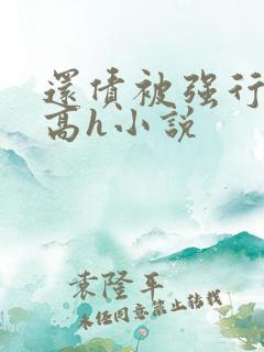 还债被强行糟蹋高h小说