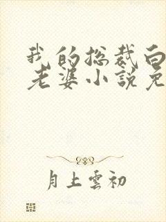 我的总裁白富美老婆小说免费阅读