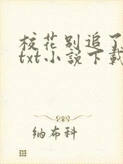 校花别追了高冷txt小说下载