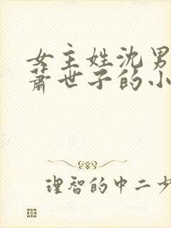 女主姓沈男主姓萧世子的小说