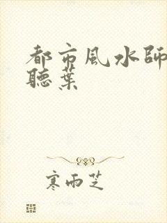 都市风水师3 听叶