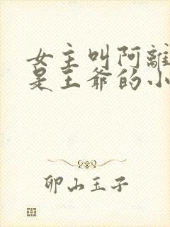 女主叫阿离男主是王爷的小说