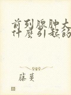 前列腺肿大是由什么引起的