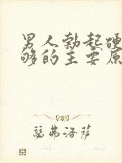 男人勃起硬度不够的主要原因