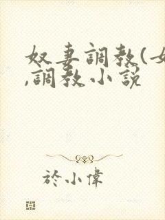 奴妻调教(女m,调教小说