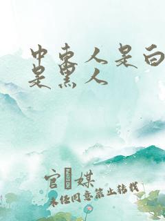 中东人是白人还是黑人