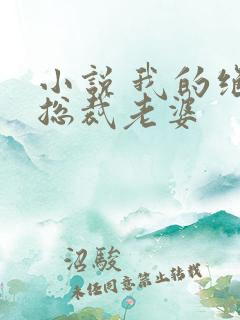 小说 我的绝色总裁老婆