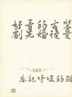 好看的古装电视剧先婚后爱