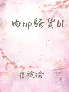 肉np骚货bl