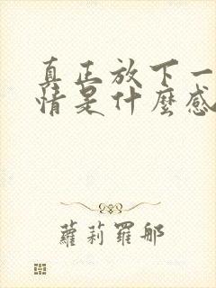 真正放下一段感情是什么感觉