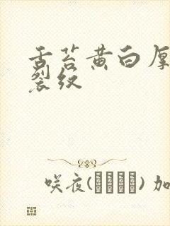 舌苔黄白厚腻有裂纹