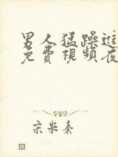 男人猛躁进女人免费视频夜月