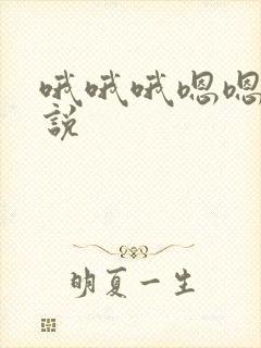 哦哦哦嗯嗯嗯小说