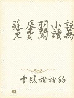 苏辰羽小说全文免费阅读无弹窗最新章节