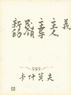 新民主主义革命的领导人