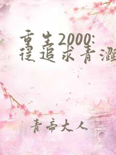 重生2000:从追求青涩校花同桌开始