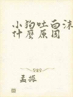 小狗吐白沫子是什么原因