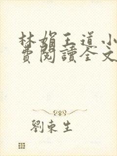 林娟王道小说免费阅读全文