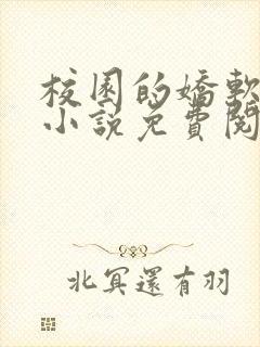 校园的娇软美人小说免费阅读全文