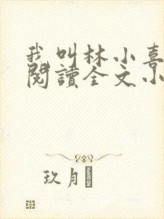我叫林小喜免费阅读全文小说