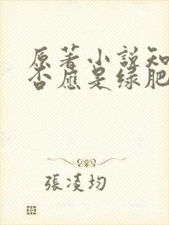 原著小说知否知否应是绿肥红瘦