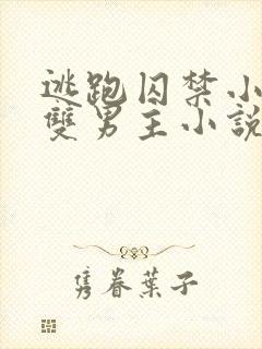 逃跑囚禁小少爷双男主小说推荐完结文