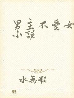 男主不爱女主的小说