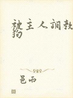 被主人调教成母狗