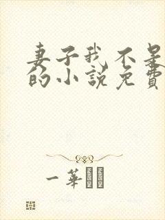 妻子我不是故意的小说免费阅读