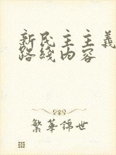 新民主主义革命路线内容