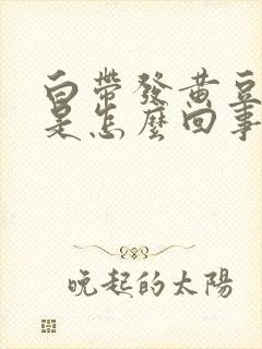 白带发黄豆腐渣是怎么回事