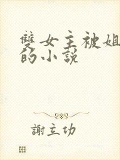 双女主被姐姐揍的小说