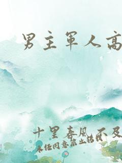 男主军人高干文