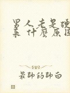 男人老是硬不起来 什么原因