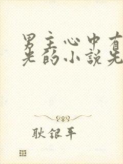 男主心中有白月光的小说先婚后爱