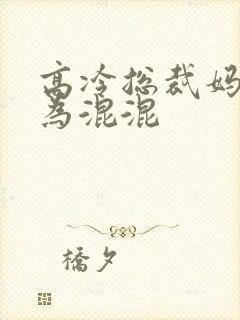 高冷总裁妈妈沦为混混