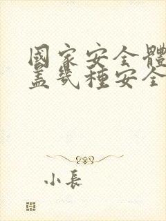 国家安全体系涵盖几种安全