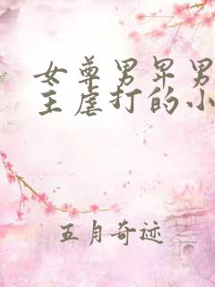 女尊男卑男被女主虐打的小说