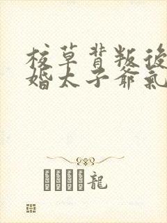 校草背叛后我闪婚太子爷气疯他苏念笙小说