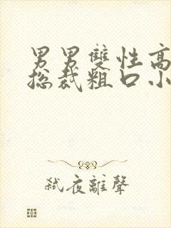 男男双性高h骚总裁粗口小说