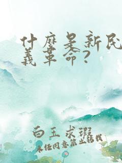 什么是新民主主义革命?