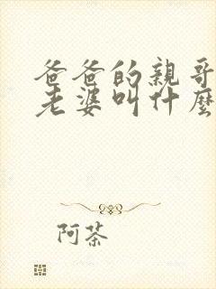 爸爸的亲哥哥的老婆叫什么称呼