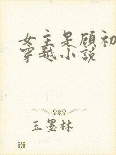 女主是顾初暖的穿越小说