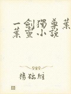 一剑独尊叶玄,叶灵小说