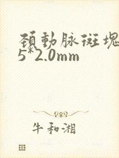 颈动脉斑块7.5*2.0mm