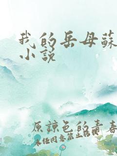 我的岳母苏沛真小说